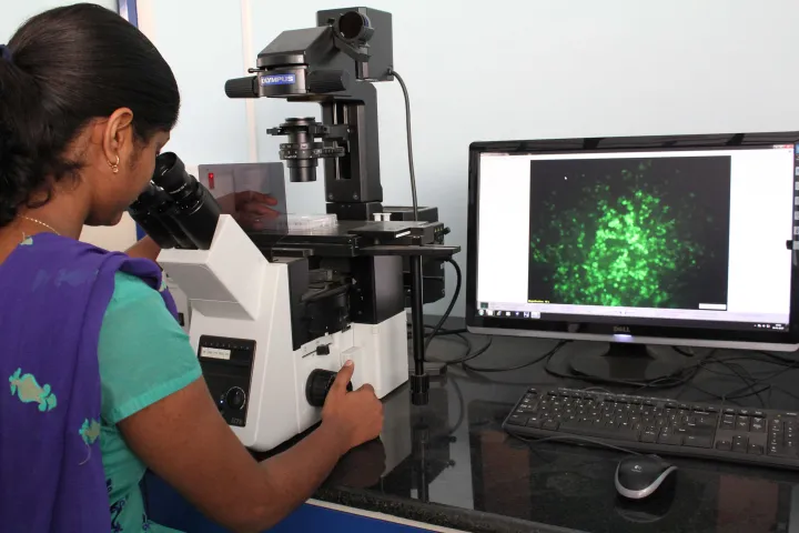 AcSIR research student viewing green fluorescent cells through a microscope, with the image on a monitor