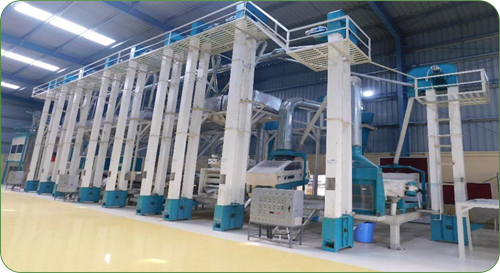 Minor millet processing line: tall dehusking and polishing machines with overhead conveyors in a factory hall