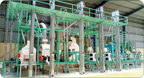 Sorghum and pearl millet processing line: machines on a green steel framework in a factory hall