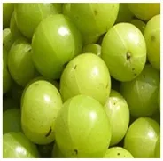 मेम्‍ब्रेन प्रौद्योगिकी का ग़ैर जलीय अनुप्रयोग