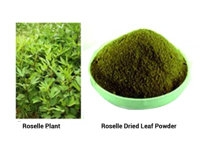 Green leafy powder for food applications